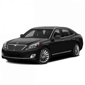 Выкуп битых запчастей Hyundai Hyundai Equus
