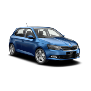 Выкуп Б/У запчастей Skoda Skoda Fabia