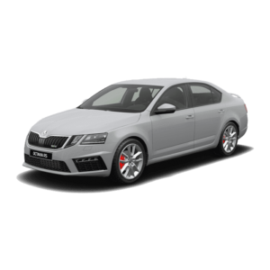 Выкуп Б/У запчастей Skoda Skoda Octavia RS